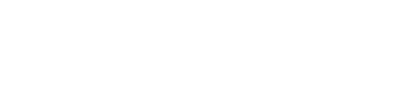 Western Union Logo White