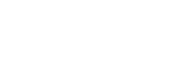 Qlik Logo White